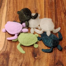 Mini Sea Turtle Collection